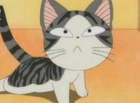 动漫中的萌宠，选一个做你的宠物，我会选大白，你呢？