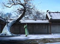 少年歌行：李寒衣太美，赵玉真等她十年，百里东君登场