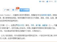 《小美人鱼》继续加黑人！曾出演哈利波特舞台剧，并“毁”了赫敏