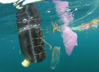 小美人鱼的收藏全是垃圾，这部漫画看了令人反思！