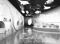 来成都，感受趣味展览新活力