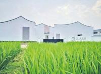 首批60多项精彩文旅活动，为你在上海的国庆假期加分