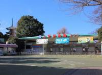 为什么日本人如此沉迷于捕虫？