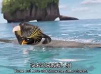 这部动画主角是企鹅，美式幽默也蕴含哲理，纪录片式拍摄