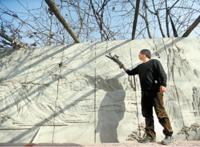 中国“钢铁侠”，助力机器人上春晚