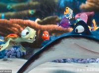 比起生硬地讲道理，这9部动画片更能让人读懂人与自然的相处之道