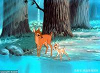 比起生硬地讲道理，这9部动画片更能让人读懂人与自然的相处之道