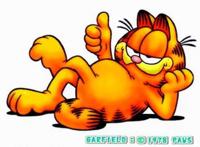 动漫中的猫，美国汤姆靠卖萌，日本小叮当靠科技，中国：魔法