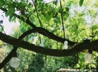 闯进宫崎骏的动漫世界，和龙猫合影，与无脸男喝下午茶