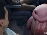 周票房冠军《大侦探皮卡丘》不止会卖萌，还会卖宝可梦的情怀