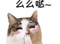 99元嗨玩一整天！成都欢乐谷9周年生日庆典倒计时！