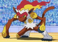 烈焰猴作为DP主力，为何我们在讨论小智决胜阵容时，会忽略掉他？