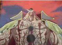 海贼王：联盟才是王道，新时代不适合单干，四皇都开始联盟