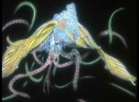 人被杀就会死吗？动漫中最强的不死之身角色TOP10