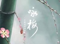 动漫相遇古诗词和非遗，《咏梅》演绎最美中国风