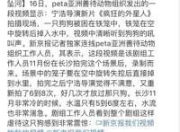 保底28亿的《疯狂外星人》，因虐狗事情引发网友不满，票房恐扑街