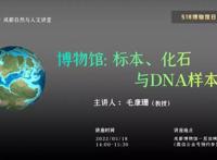 博物馆的力量丨看动漫原画，逛全新空间成博推出这些精彩活动