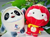 卑微雪容融求关爱，粉丝与冰墩墩拍照留念，却忘记了雪容融