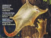 恐龙复原大王：他的画曾上了《自然》封面，却一年没再“碰”恐龙