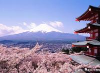 为何中国人喜欢去日本旅游？年赴日游客超800万，这6个原因很真实