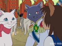 猫的报恩：不管什么情况，也不要丢失自我