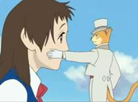 《猫的报恩》：生命可以随心所欲，但是不能随波逐流