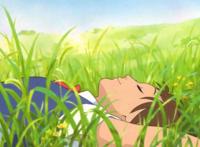 猫的报恩：生命可以随心所欲，但不能随波逐流