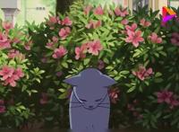 饭前看电影：几分钟看完日本喜剧动画电影《猫的报恩》