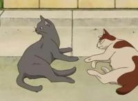 猫的报恩，简单的故事可爱的人物，带给你满满的感动！