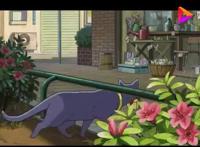 3分钟看完日本经典动漫电影《猫的报恩》