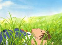 日本“猫文化”盛行，以《猫的报恩》为例解读宫崎骏要传递的自我