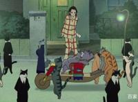 猫的报恩：人生总要经历一场冒险，也许变身为猫，但终会找回自我