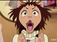 猫的报恩：人生总要经历一场冒险，也许变身为猫，但终会找回自我