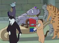 《猫的报恩》：为何经久不衰？剧中几乎无反派？