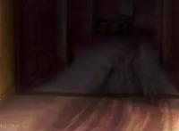 动漫中的艺术品，这样的哥特萝莉宠物请务必来一打！