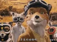 这部评分高达8.5的动画正在热映，但大部分人根本没看懂