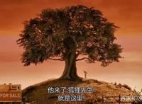 暖心剧场：老少皆宜，雅俗共赏《了不起的狐狸爸爸》