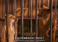 9.8分，12年前的电影《了不起的狐狸爸爸》我今天才看懂
