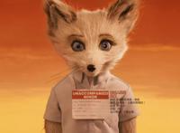 9.8分，12年前的电影《了不起的狐狸爸爸》我今天才看懂