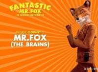 《了不起的狐狸爸爸》：从童话故事窥探成人生活的挣扎与觉醒