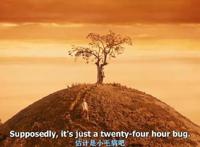 《了不起的狐狸爸爸》愚蠢的人类在它面前瑟瑟发抖