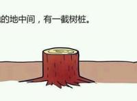 毁童年系列《龟兔赛跑》，结局真的出乎意料