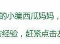 黑科技、卡通IP助阵妈妈网华南婴童节人气持续升温