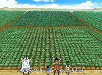 《龙珠》龙战士除了正常修行外，还有什么副职业养家糊口