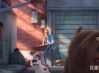 兔子和狗合力开汽车，脑洞大开的动漫电影，你的宠物会这样吗？