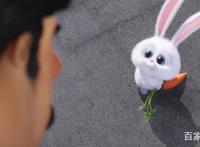 兔子和狗合力开汽车，脑洞大开的动漫电影，你的宠物会这样吗？