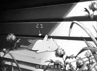 新海诚！《你的名字》编导！“百亿导演”作品最全收录！