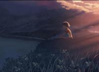 无法释怀的爱，秒速五厘米表达了什么