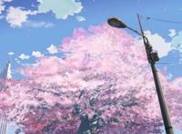 新海诚不仅有少年的爱情故事，还有那些让人难以忘怀的美景