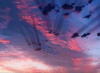 《云之彼端，约定的地方》我忘记了一切却无法忘记与你的约定